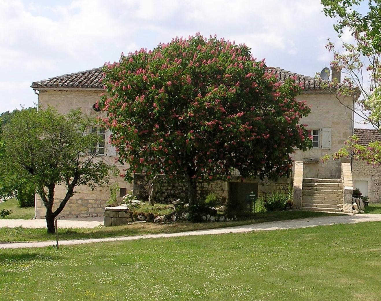 مبيت وإفطار Fontanes  Domaine De L'Isle Basse المظهر الخارجي الصورة