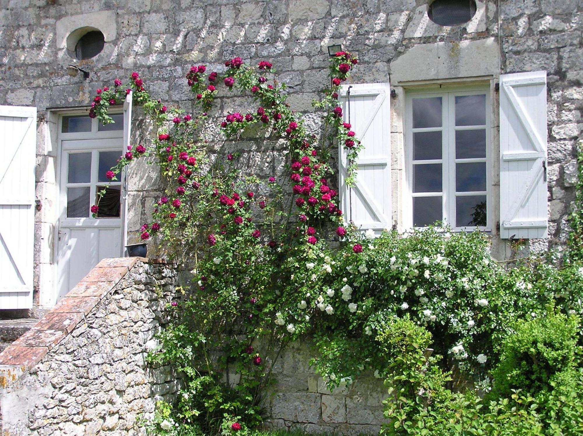 مبيت وإفطار Fontanes  Domaine De L'Isle Basse الغرفة الصورة
